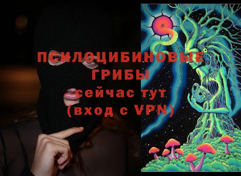 Галлюциногенные грибы MAGIC MUSHROOMS  где можно купить   Вихоревка 